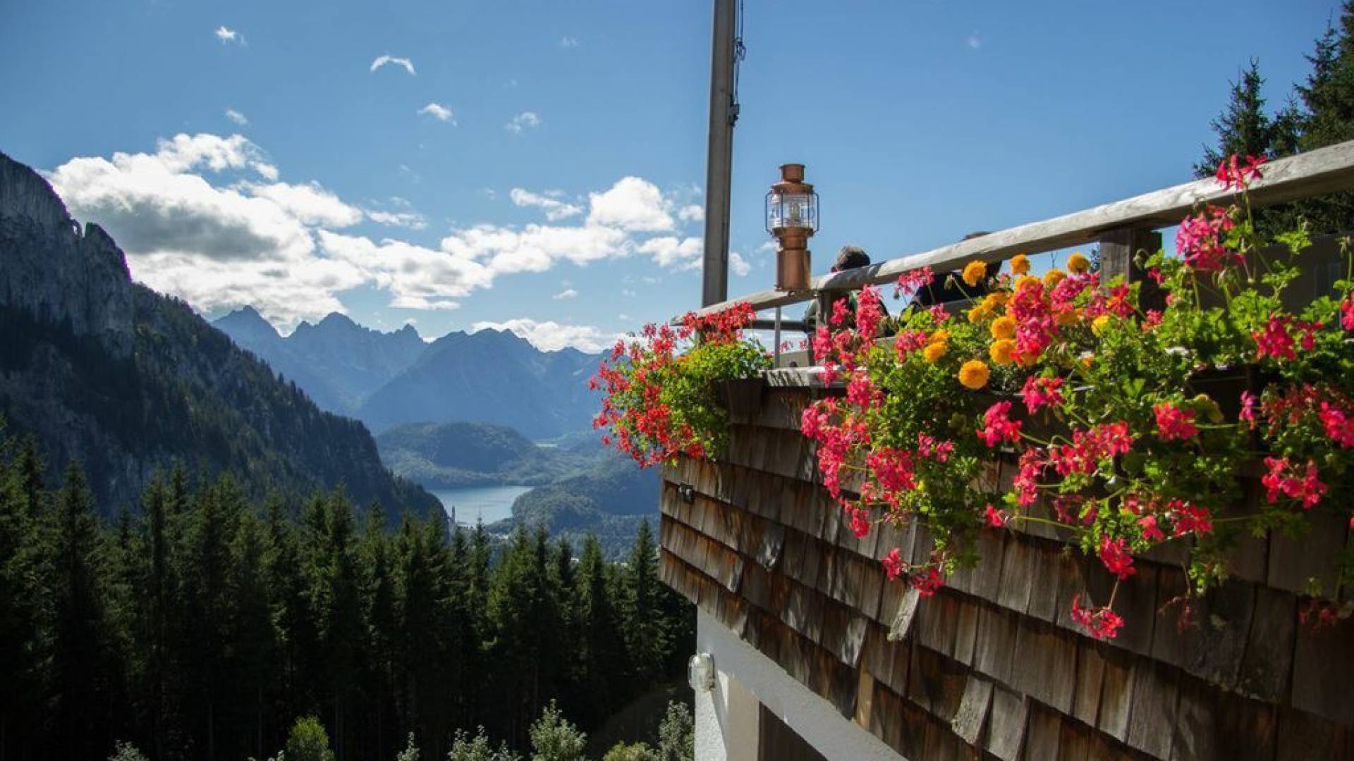 Aussicht ins Tal von der Rohrkopfhütte am Tegelberg aus