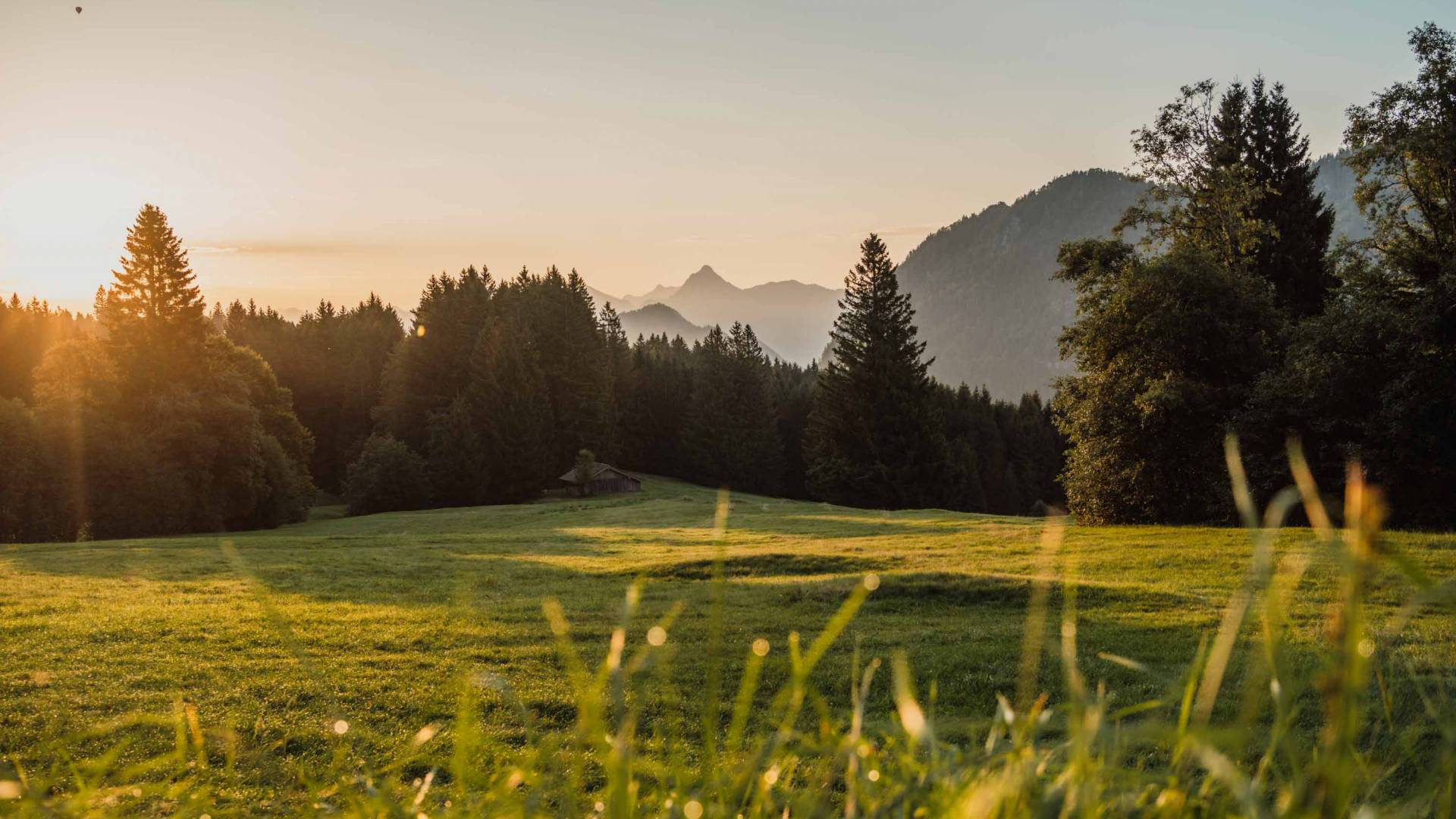 Berghütten Panorama vom Edelsberg, Pfronten