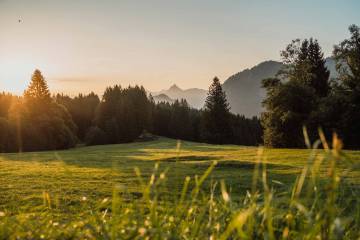 Berghütten Panorama vom Edelsberg, Pfronten