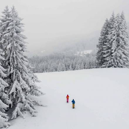 Ski, Schneeschuh & Schlitten |f7ca - Hotel Das Rübezahl